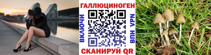 закладки  Фатеж  ссылка на мегу ONION  Псилоцибиновые грибы мицелий 